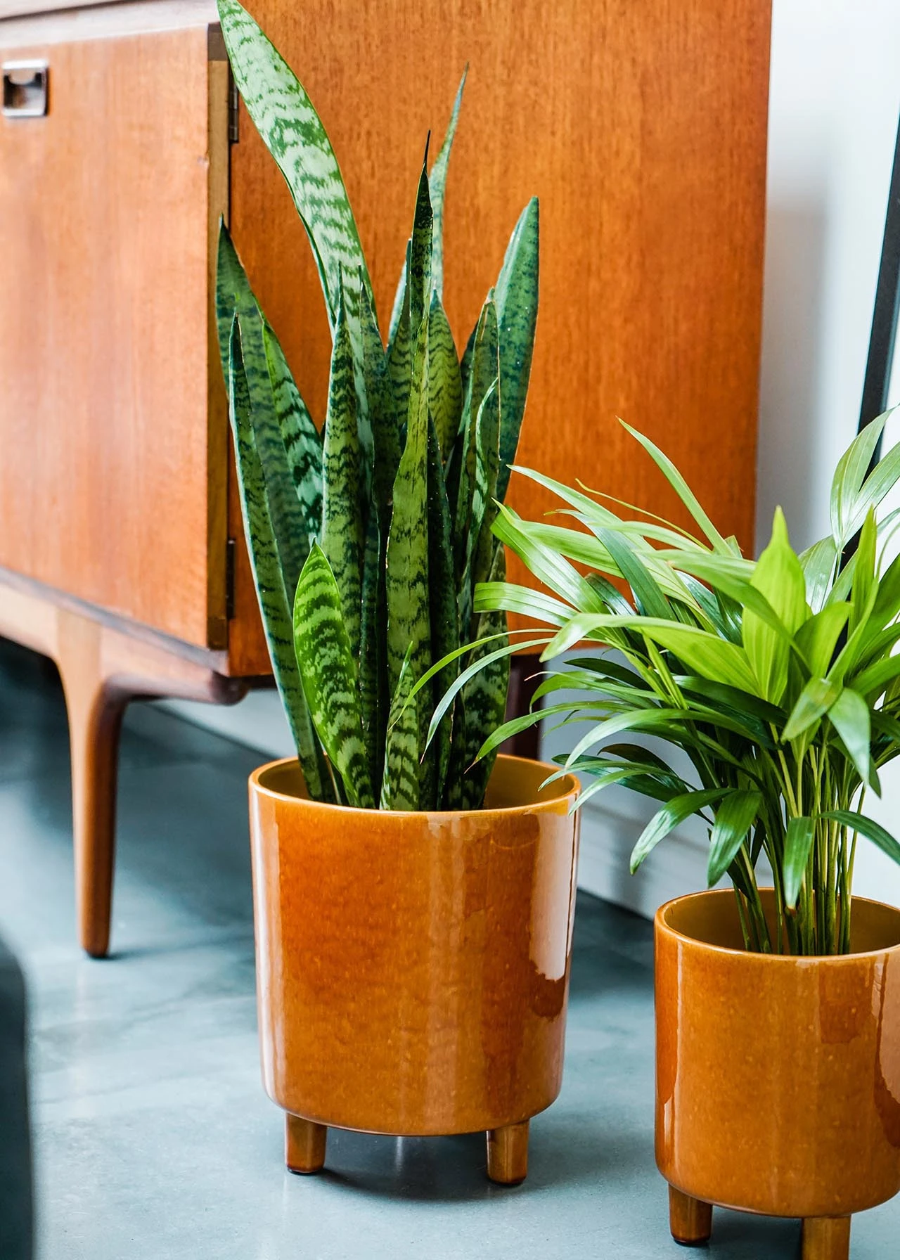 Ivyline Pisa Pot 16cm Mustard 2 Ivyline Pisa Pot 16cm Mustard - Image 2