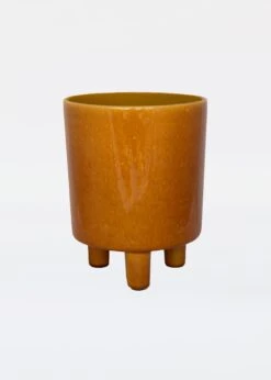 Ivyline Pisa Pot 20cm Mustard