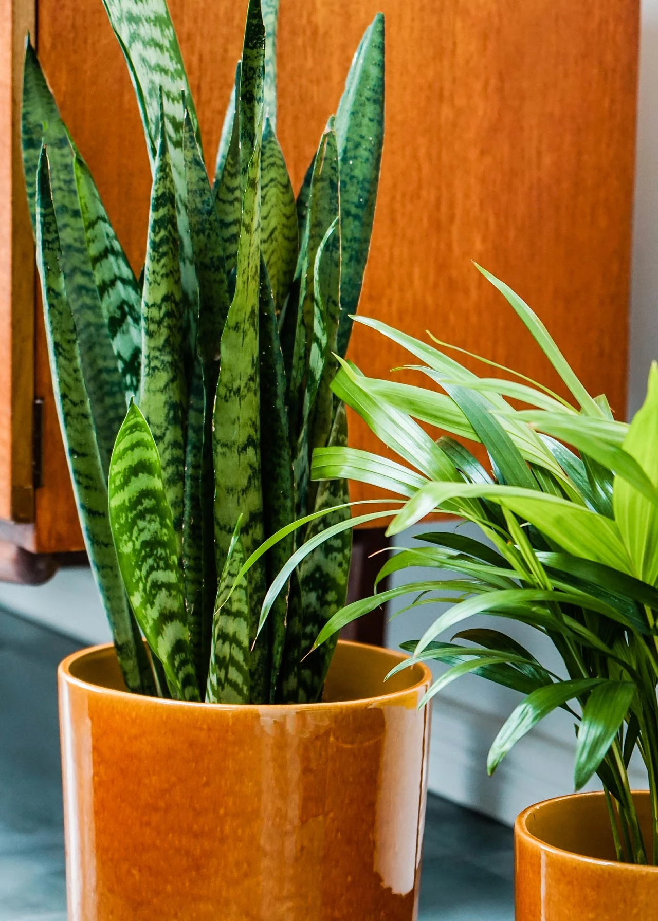 Ivyline Pisa Pot 20cm Mustard 2 Ivyline Pisa Pot 20cm Mustard - Image 2