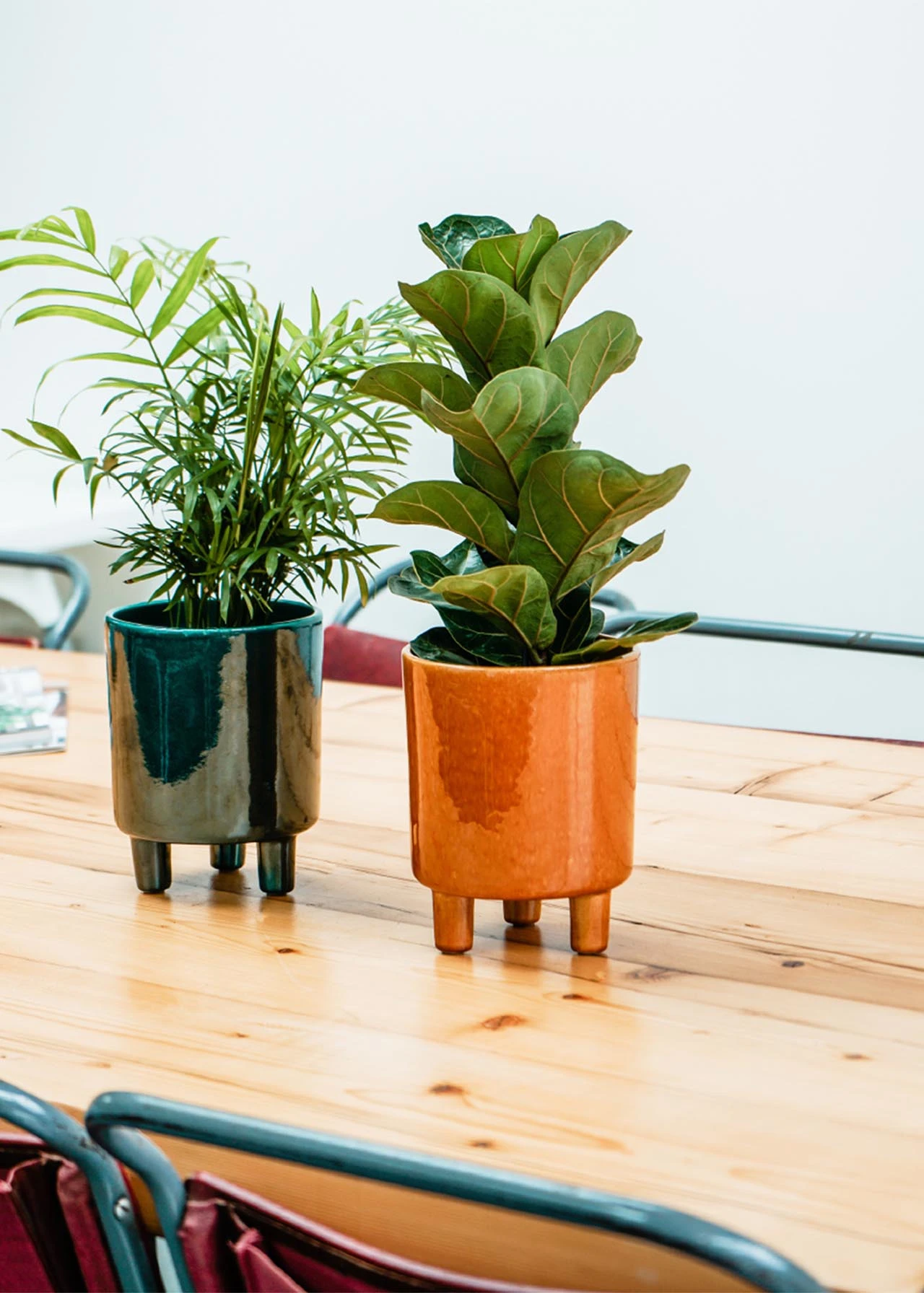 Ivyline Pisa Pot 20cm Mustard 3 Ivyline Pisa Pot 20cm Mustard - Image 3