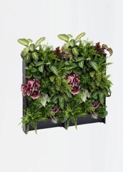 Plant Box Set Of 3