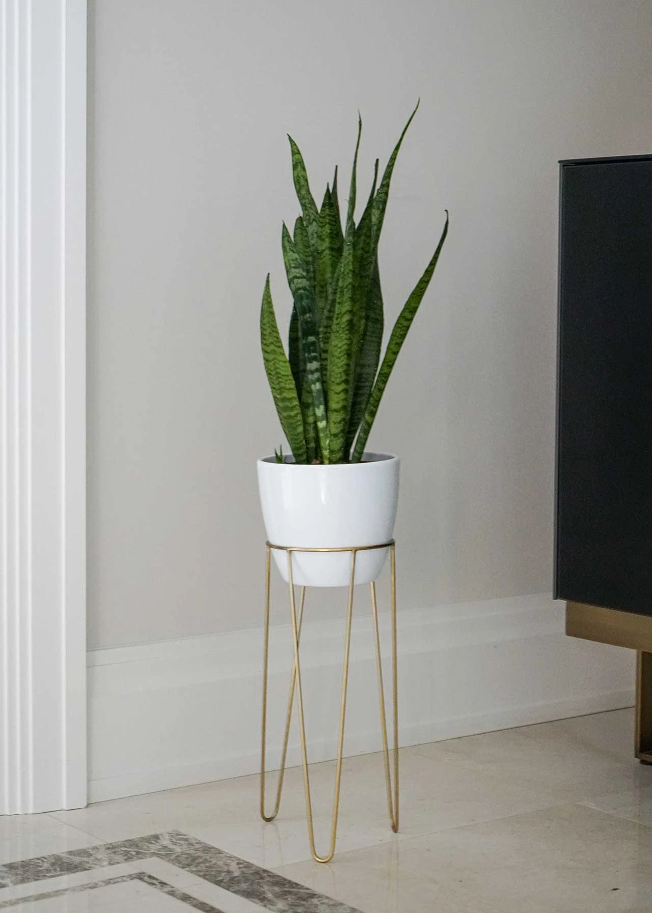 Ivyline Pianta Plant Stand 17cm Gold 2 Ivyline Pianta Plant Stand 17cm Gold - Image 2