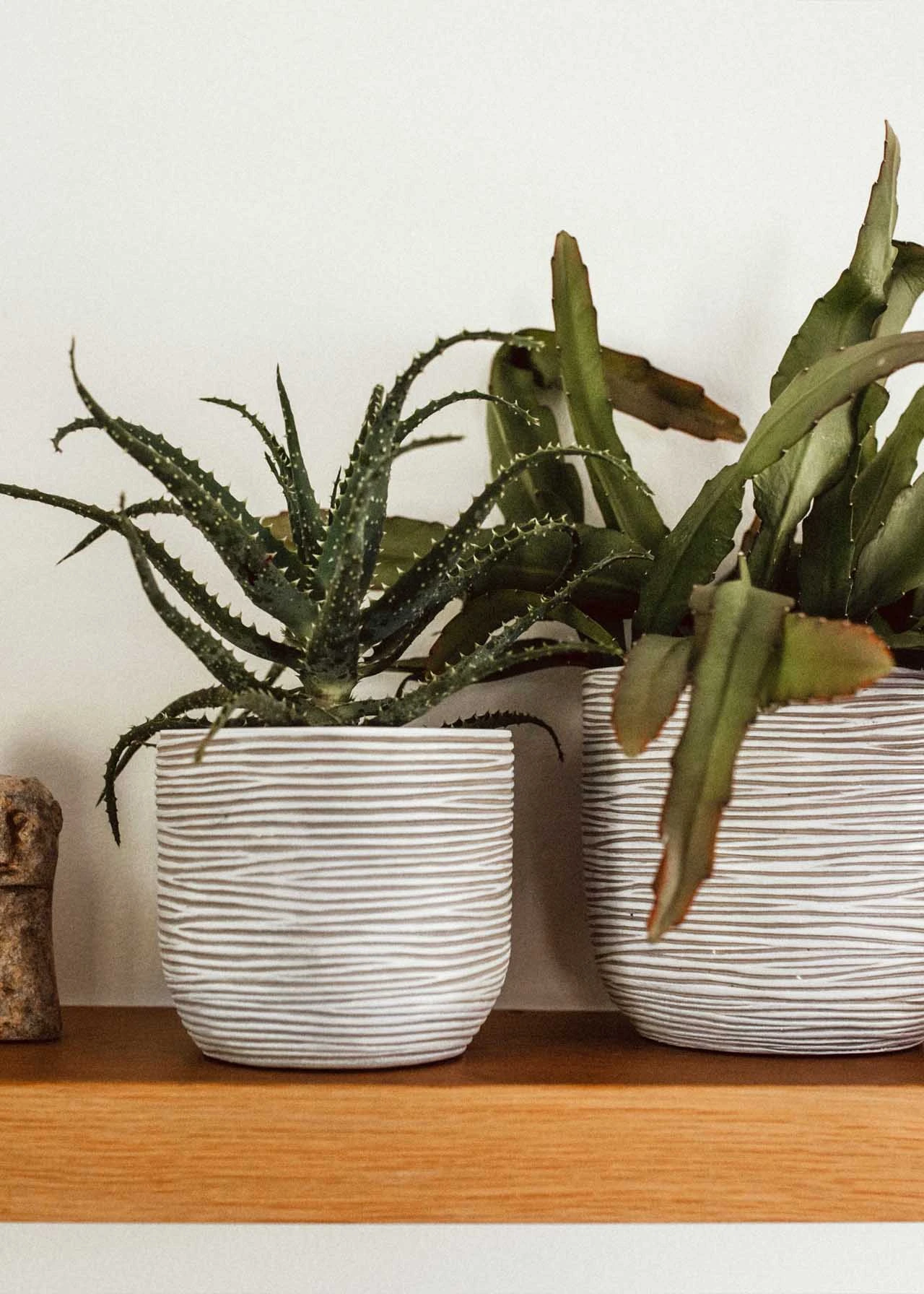 Planter Ball Rib 17x15cm Ivory 2 Planter Ball Rib 17x15cm Ivory - Image 2