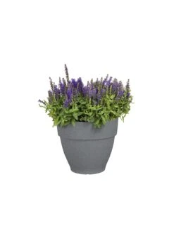 Elho Vibia Campana Pot 30cm Concrete -Outdoor Garden Care Shop search 434