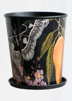 Kew Eclectic Orangery Planter With Saucer 16cm