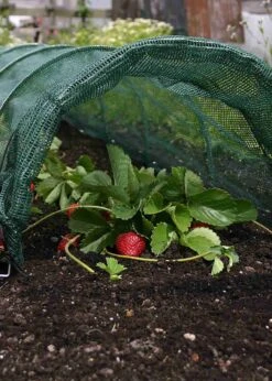 Easy Net Tunnel -Outdoor Garden Care Shop search 455