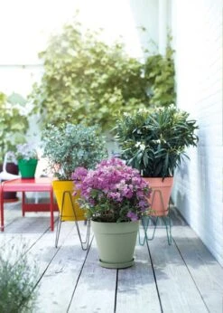 Elho Loft Urban Round Pot 25cm Pistachio -Outdoor Garden Care Shop search 50