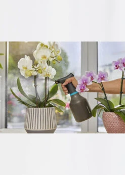 Elho Pump Sprayer 0.75L -Outdoor Garden Care Shop search 500