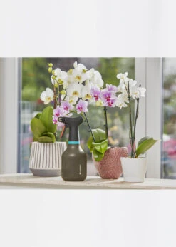 Elho Pump Sprayer 0.75L -Outdoor Garden Care Shop search 501