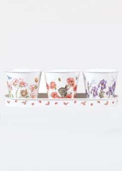 Floral Herb Pots & Tray
