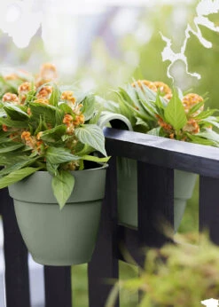 Elho Vibia Campana Flower Twin 21cm Green -Outdoor Garden Care Shop search 53