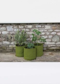 Vigoroot Pots 10l 3PK