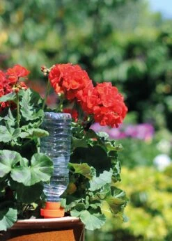 10" Aquasolo Small Watering Cones Hozelock -Outdoor Garden Care Shop search 590