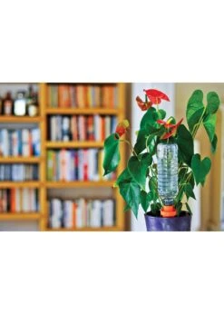 10" Aquasolo Small Watering Cones Hozelock -Outdoor Garden Care Shop search 592