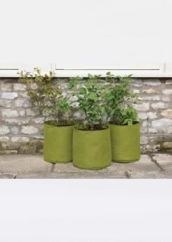 Vigoroot Pots 20l 3PK