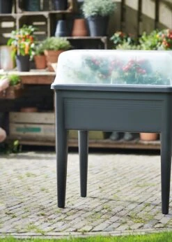 Elho Green Basics Grow House Lid XXL 75cm Transparent -Outdoor Garden Care Shop search 624