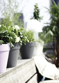 Elho Loft Urban Pot 25cm Anthracite -Outdoor Garden Care Shop search 63