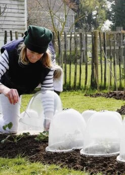 Haxnicks 3pk Victorian Bell Cloches -Outdoor Garden Care Shop search 661