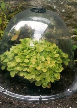 Haxnicks 3pk Victorian Bell Cloches -Outdoor Garden Care Shop search 662