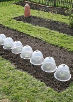 Haxnicks 3pk Victorian Bell Cloches -Outdoor Garden Care Shop search 663