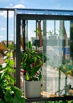 Juliana Balcony Greenhouse -Outdoor Garden Care Shop search 667
