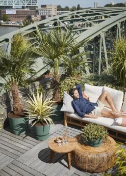 Elho Greenville Round Pot 40cm Leaf Green -Outdoor Garden Care Shop search 73