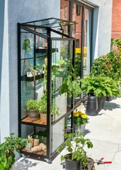 Juliana City Greenhouse