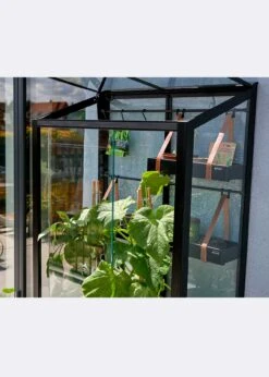 Juliana City Greenhouse -Outdoor Garden Care Shop search 748