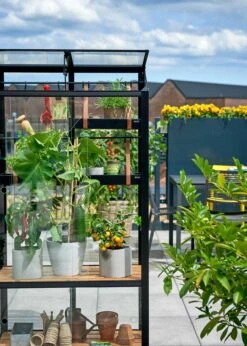 Juliana City Greenhouse -Outdoor Garden Care Shop search 749