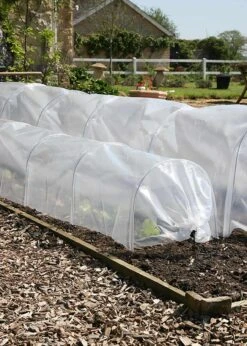Haxnicks Easy Poly Tunnel 7 Haxnicks Easy Poly Tunnel -Outdoor Garden Care Shop search 770
