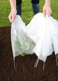 Haxnicks Easy Poly Tunnel 8 Haxnicks Easy Poly Tunnel -Outdoor Garden Care Shop search 771