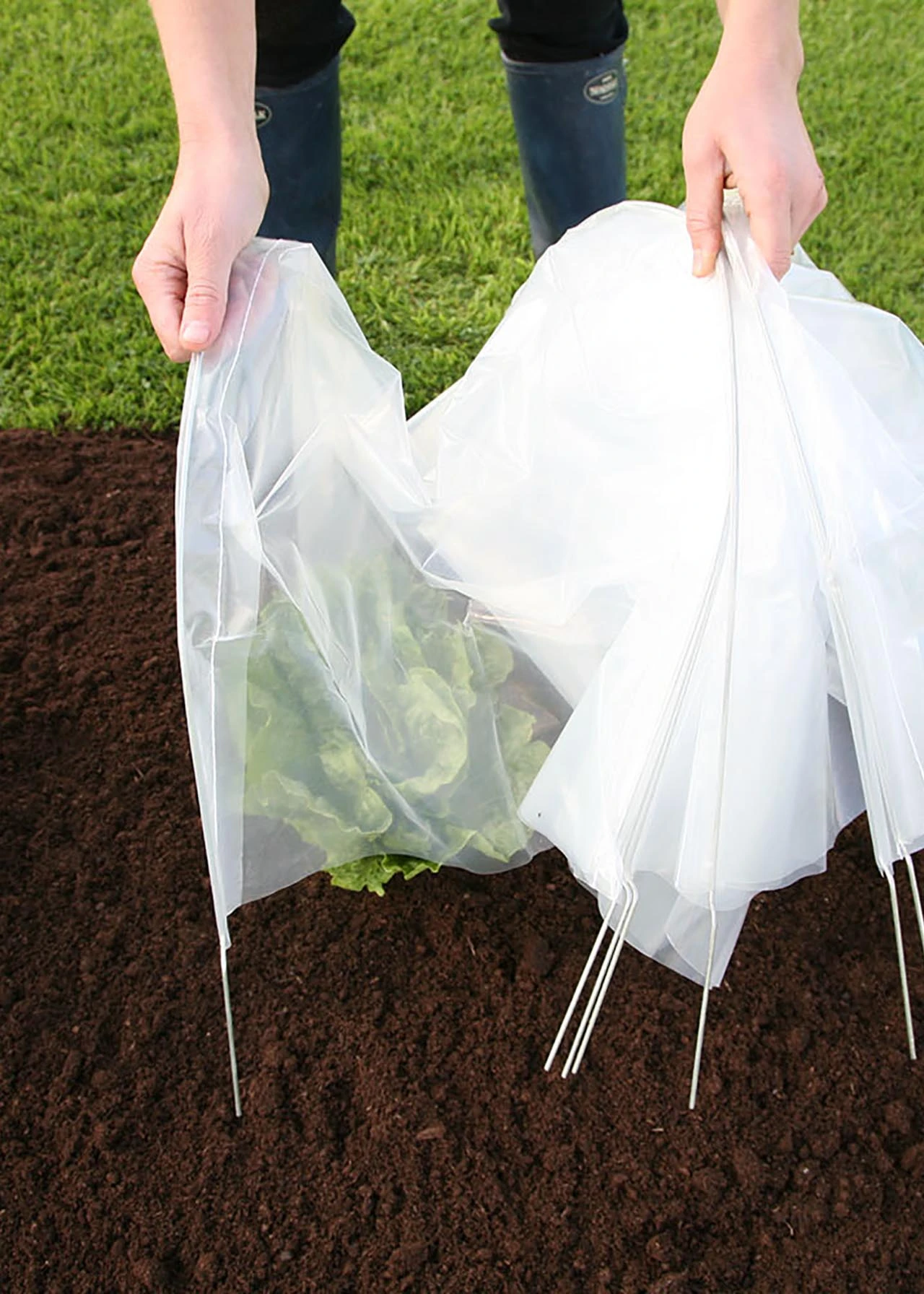 Haxnicks Easy Poly Tunnel 4 Haxnicks Easy Poly Tunnel - Image 4