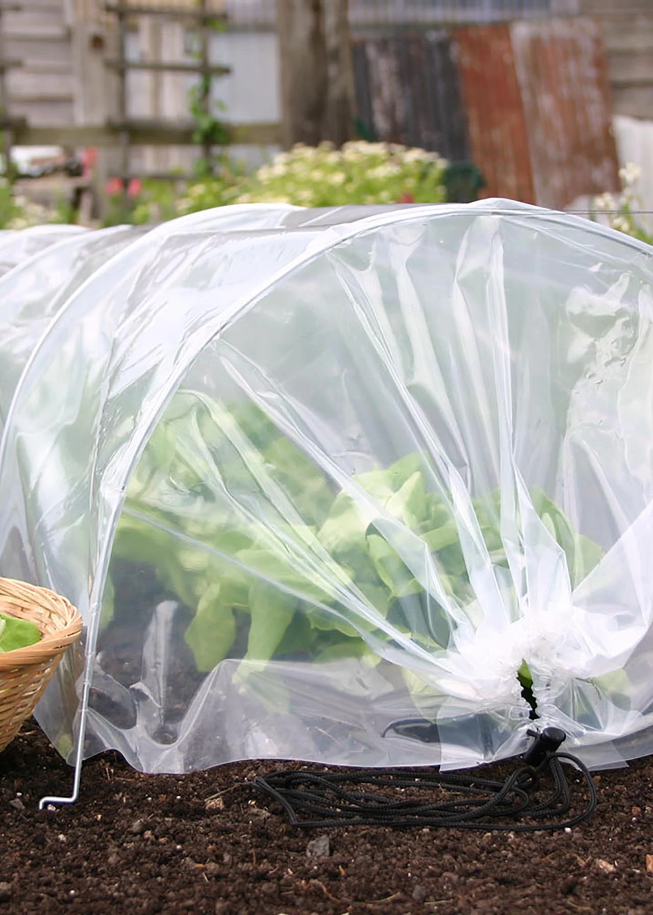 Haxnicks Easy Poly Tunnel 5 Haxnicks Easy Poly Tunnel - Image 5