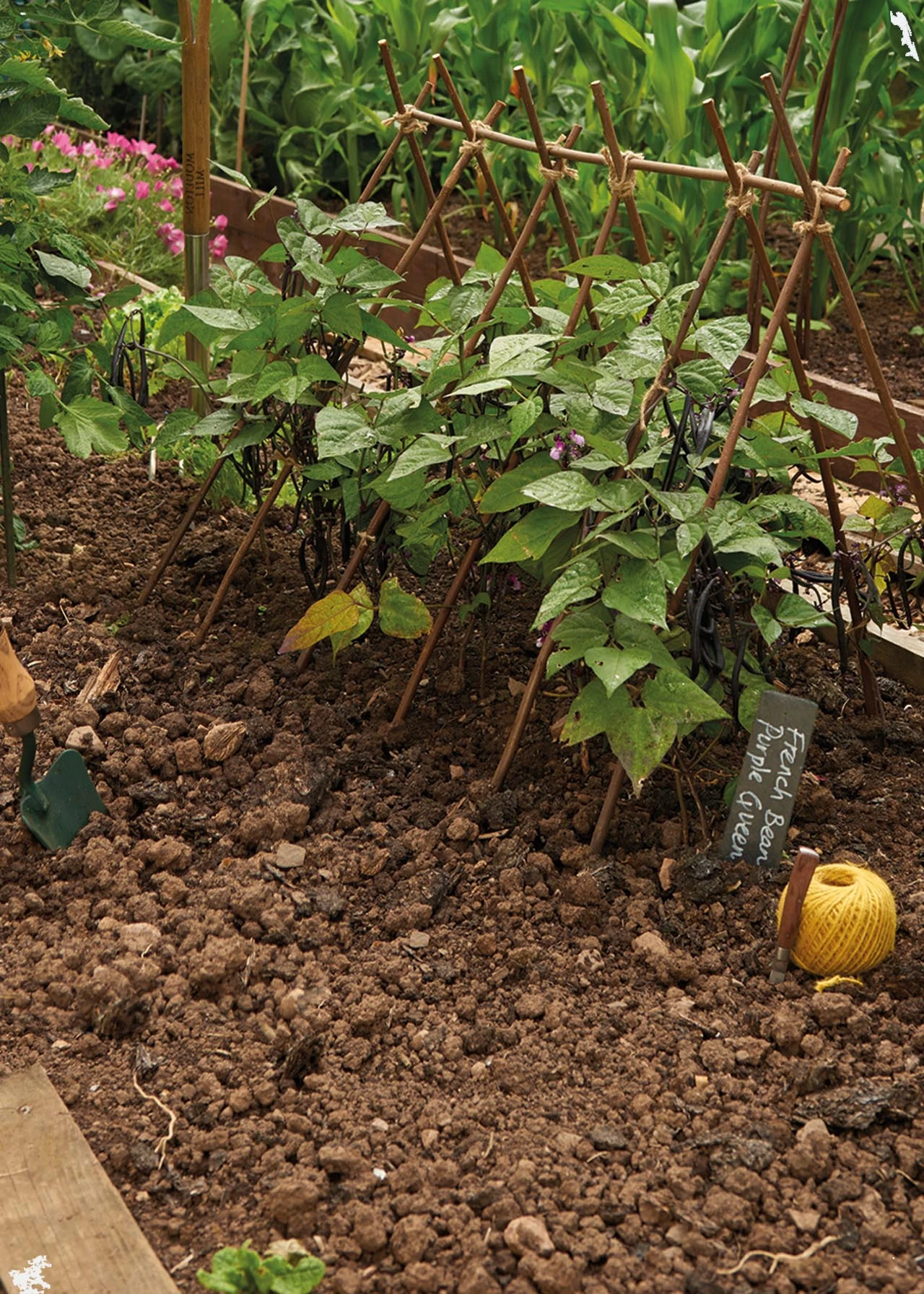 Willow Plant Sticks 120cm 4' 20pk 2 Willow Plant Sticks 120cm 4' 20pk - Image 2