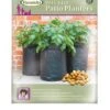 Haxnicks 3 Pack Potato Patio Planter
