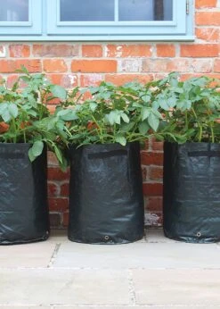 Haxnicks 3 Pack Potato Patio Planter -Outdoor Garden Care Shop search 825