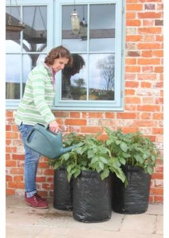 Haxnicks 3 Pack Potato Patio Planter -Outdoor Garden Care Shop search 826