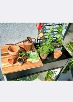 Juliana Vertical Greenhouse -Outdoor Garden Care Shop search 830