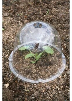 Haxnicks King Size Victoria Bell Cloches 2pk -Outdoor Garden Care Shop search 853