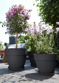 Elho Vibia Campana Pot 30cm Anthracite -Outdoor Garden Care Shop search 86