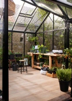 Elho Green Basics Growpot All-in-1 25cm -Outdoor Garden Care Shop search 883