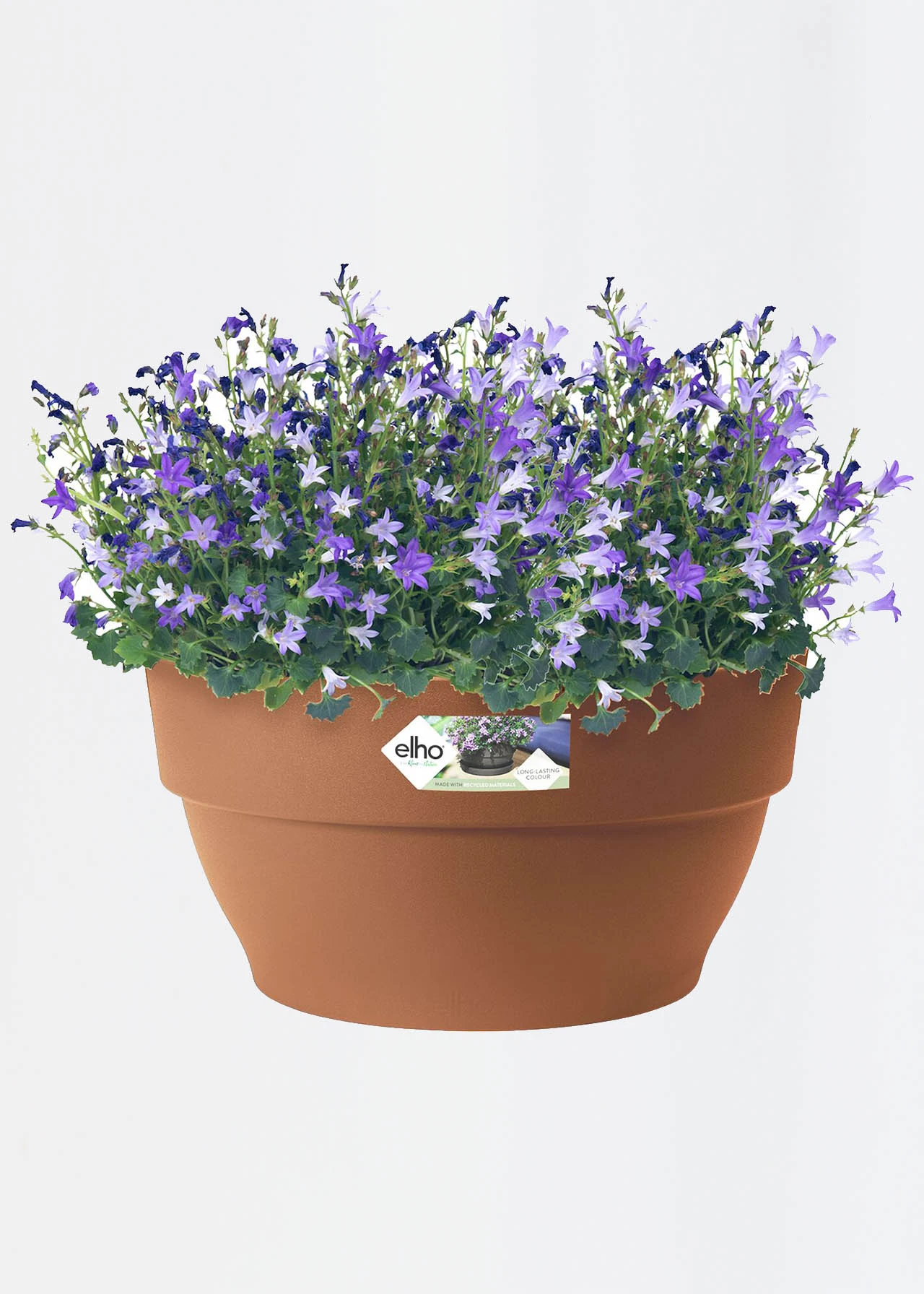 Elho Vibia Campana Bowl 34cm Terra 2 Elho Vibia Campana Bowl 34cm Terra - Image 2