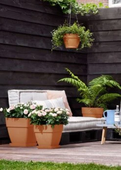 Elho Vibia Campana Bowl 34cm Terra 5 Elho Vibia Campana Bowl 34cm Terra -Outdoor Garden Care Shop search 90