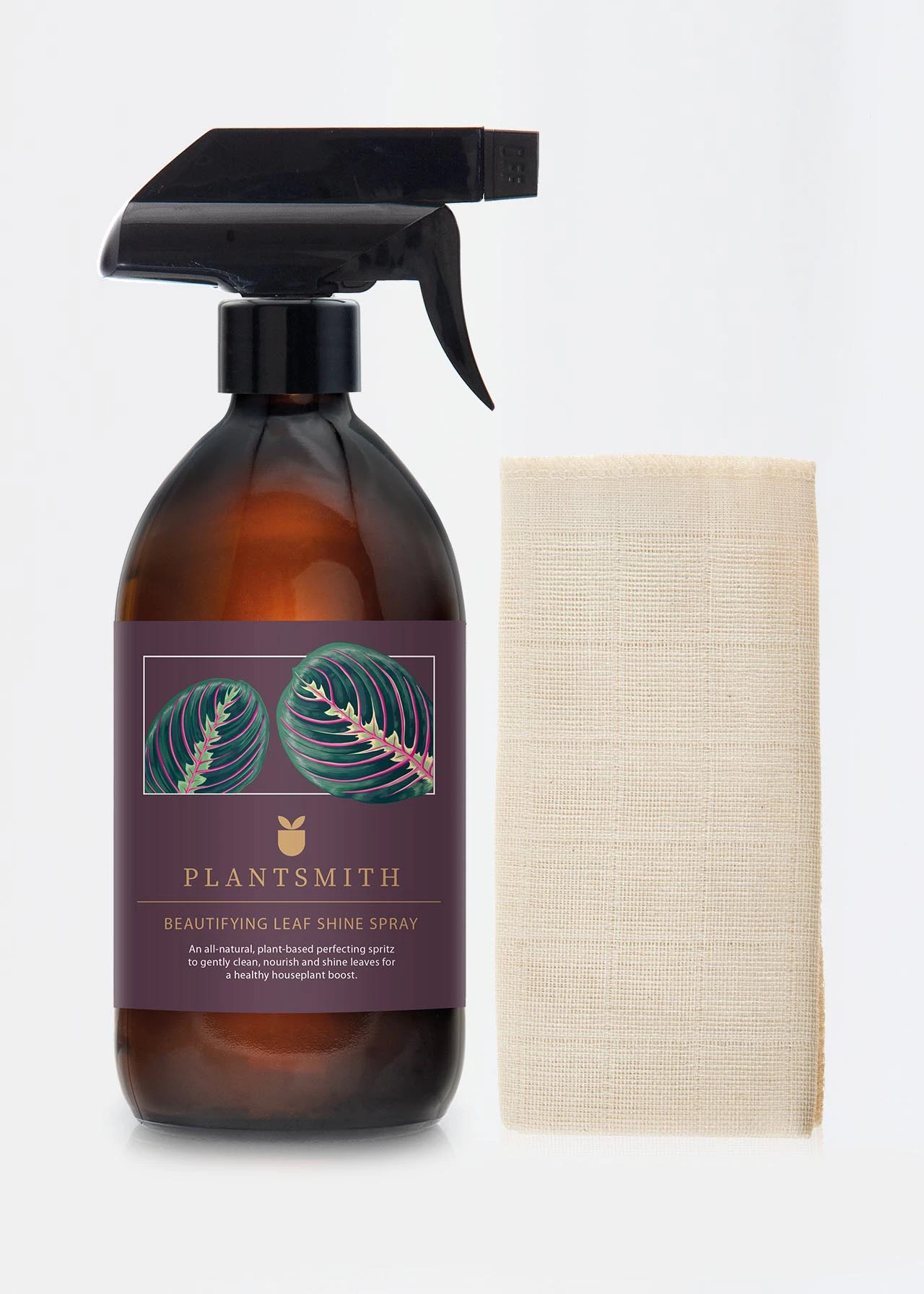 Plantsmith Houseplant Cleanse And Shine Gift Set 2 Plantsmith Houseplant Cleanse And Shine Gift Set - Image 2