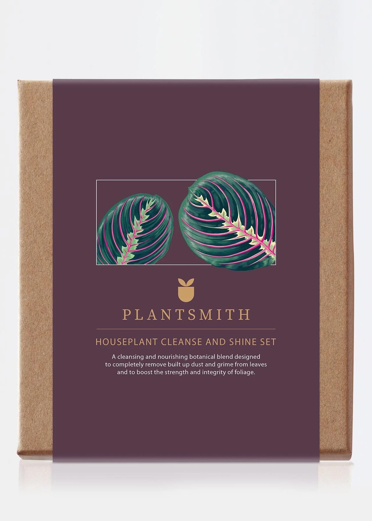 Plantsmith Houseplant Cleanse And Shine Gift Set 3 Plantsmith Houseplant Cleanse And Shine Gift Set - Image 3