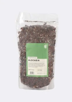 Alocasia Mix Compost 8ltr
